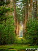 2025.06.27 - PIĄTKOWY PORANEK