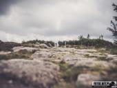 2024.08.11 – WĘDRÓWKA NA ŚNIEŻNE KOTŁY