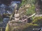 2024.08.11 – WĘDRÓWKA NA ŚNIEŻNE KOTŁY