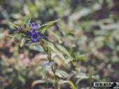 2024.08.11 – WĘDRÓWKA NA ŚNIEŻNE KOTŁY