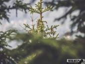 2024.08.11 – WĘDRÓWKA NA ŚNIEŻNE KOTŁY