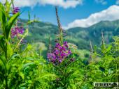 2025.07.19-26 - TATRY 2025