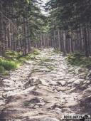 2024.08.11 – WĘDRÓWKA NA ŚNIEŻNE KOTŁY