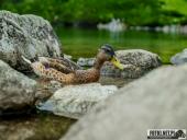 2025.07.19-26 - TATRY 2025