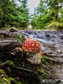 2025.09.27 - SZKLARSKA PORĘBA