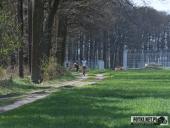 2022.04.24 - BIEG CHARYTATYWNY PO LEPSZE JUTRO DLA MARYSI I ANTOSIA - cz. 3