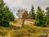 2025.09.27 - SZKLARSKA PORĘBA