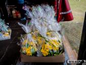 2025.04.13 - BIEG CHARYTATYWNY BIEGIEM PO SPRAWNOŚĆ DLA ELI - cz. 1