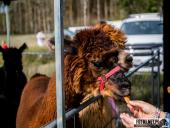 2025.04.13 - BIEG CHARYTATYWNY BIEGIEM PO SPRAWNOŚĆ DLA ELI - cz. 1