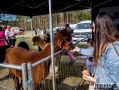 2025.04.13 - BIEG CHARYTATYWNY BIEGIEM PO SPRAWNOŚĆ DLA ELI - cz. 1