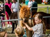 2025.04.13 - BIEG CHARYTATYWNY BIEGIEM PO SPRAWNOŚĆ DLA ELI - cz. 1