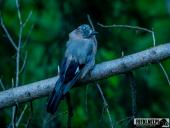 2025.07.19-26 - TATRY 2025