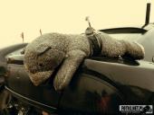 2023.04.01 - WRAKE RACE KĘBŁOWO - 3 EDYCJA