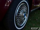 2021.09.26 - CHARYTATYWNY ZLOT SAMOCHODOWY DLA MAI