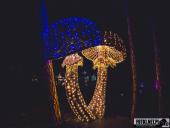 2024.12.29  - LUMINA PARK POZNAŃ