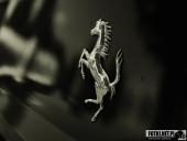 2021.09.26 - CHARYTATYWNY ZLOT SAMOCHODOWY DLA MAI