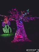 2024.12.29  - LUMINA PARK POZNAŃ