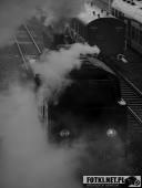 2017.04.29 - PARADA PAROWOZÓW