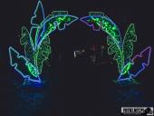 2024.12.29  - LUMINA PARK POZNAŃ