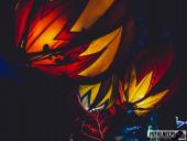 2024.12.29  - LUMINA PARK POZNAŃ