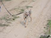 2019.09.15 - BIEG W KRAINIE KONWALII CZĘŚĆ 5