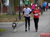 2015.11.11 - III WOLSZTYŃSKI BIEG NIEPODLEGŁOŚCI