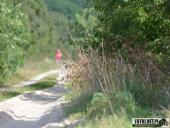 2017.09.16 - IV BIEG W KRAINIE KONWALII - CZĘŚĆ 3