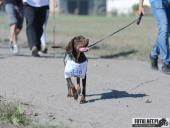 2018.10.14 - CHARYTATYWNY BIEG PO UŚMIECH DLA IZY - CZĘŚĆ 5 i 6