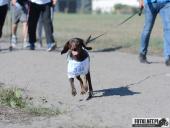 2018.10.14 - CHARYTATYWNY BIEG PO UŚMIECH DLA IZY - CZĘŚĆ 5 i 6