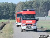 2018.10.14 - CHARYTATYWNY BIEG PO UŚMIECH DLA IZY - CZĘŚĆ 5 i 6