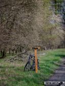 2025.04.13 - BIEG CHARYTATYWNY BIEGIEM PO SPRAWNOŚĆ DLA ELI - cz. 3