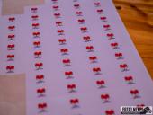 2025.08.03 - CHARYTATYWNY FESTYN ORAZ MARSZOBIEG - W RYTMIE SERCA DLA LILIANY - II EDYCJA - cz. 1