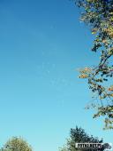 2019.09.21 - MECZ CHARYTATYWNY ORAZ MARSZOBIEG CZĘŚĆ 2/2