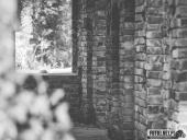 2024.10.20 - PARK KSIĄŻĘCY ZATONIE