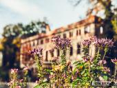 2024.10.20 - PARK KSIĄŻĘCY ZATONIE