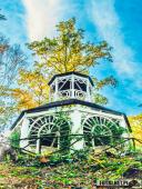 2024.10.20 - PARK KSIĄŻĘCY ZATONIE