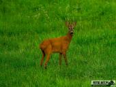 2025.08.08 - KOLEJNY PIĄTKOWY PORANEK