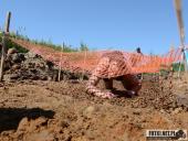 2019.06.30 - CHABER CHARYTATYWNY BERZYŃSKI BIEG Z PRZESZKODAMI - część 1 i 2