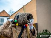 2025.04.21 - SIWKI W CHORZEMINIE