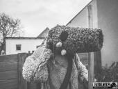 2025.04.21 - SIWKI W CHORZEMINIE