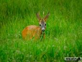 2025.08.08 - KOLEJNY PIĄTKOWY PORANEK