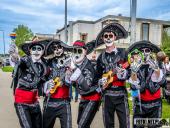 2025.04.21 - SIWKI W CHORZEMINIE