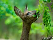 2025.08.08 - KOLEJNY PIĄTKOWY PORANEK