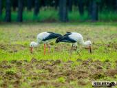 2025.08.08 - KOLEJNY PIĄTKOWY PORANEK