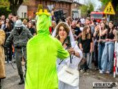 2025.04.21 - SIWKI W CHORZEMINIE