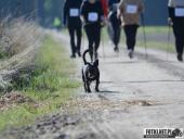 2021.10.10 - CHOBIENICKI CHARYTATYWNY MARSZOBIEG DLA MAI - cz. 3