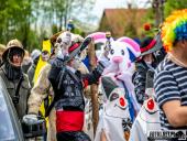 2025.04.21 - SIWKI W CHORZEMINIE