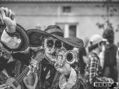 2025.04.21 - SIWKI W CHORZEMINIE