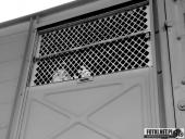 2018.04.07 - IV MARSZ KATYŃSKI