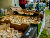 2025.09.14 - CHARYTATYWNE III AKTYWNE POŻEGNANIE LATA Z FUNDACJĄ POMOC MA MOC - cz. 2